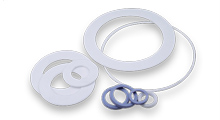 PTFE Gasket